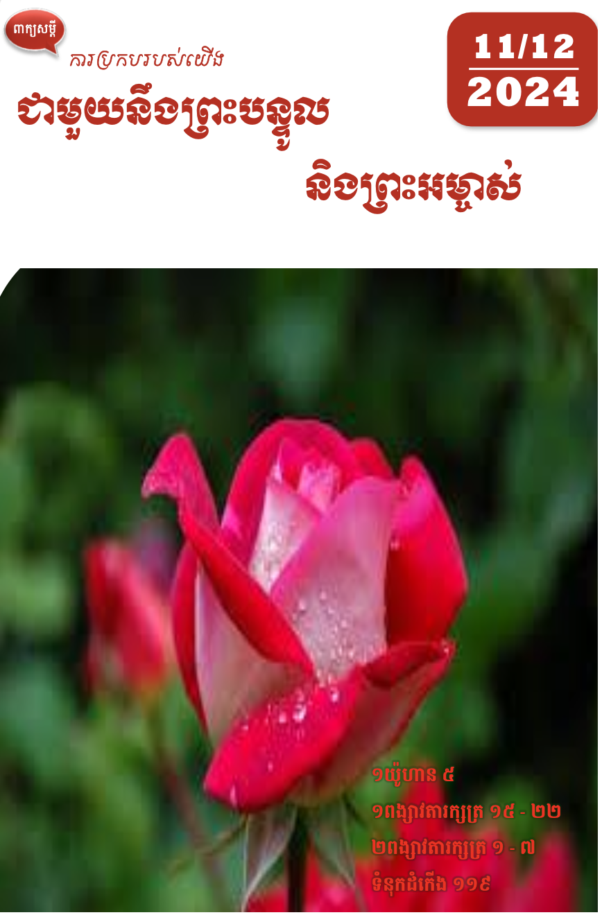 QT Book PDF